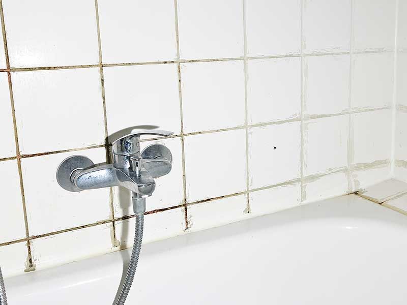 Tips to Prevent and Remove Mold from Grout Lines