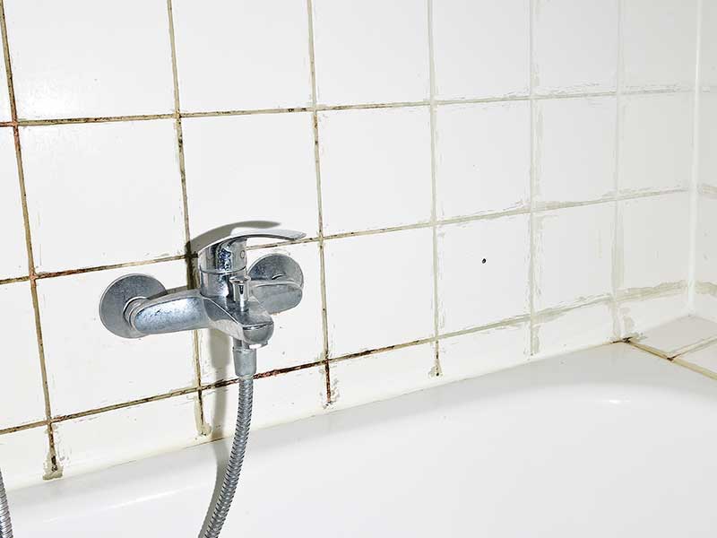 tips-to-prevent-and-remove-mold-from-grout-lines-all-out-tile-and-grout